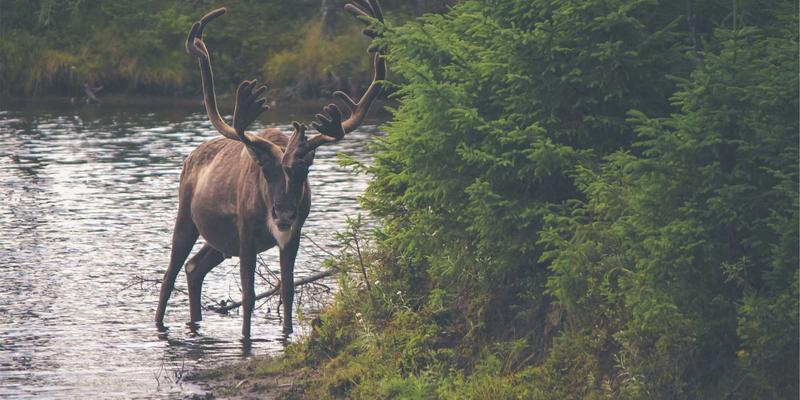 CCSIIA认证视角下的SASE架构评估：如何整合网络与安全能力以支持分布式企业数据保护
