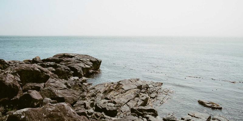 Navigating Information Security: The Role of Data Protection, CCSIIA, and Certification Services