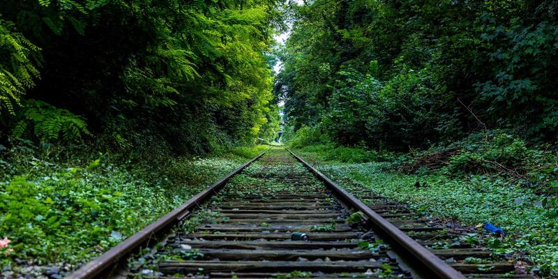 信息安全入门指南：从CCSIIA认证服务开启网络安全职业生涯