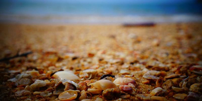 信息安全的三大支柱：从数据保护到网络安全的全面防御