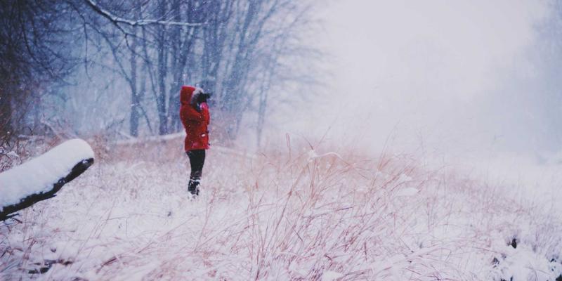 信息安全的基石:专业认证服务与CCSIIA的价值解析