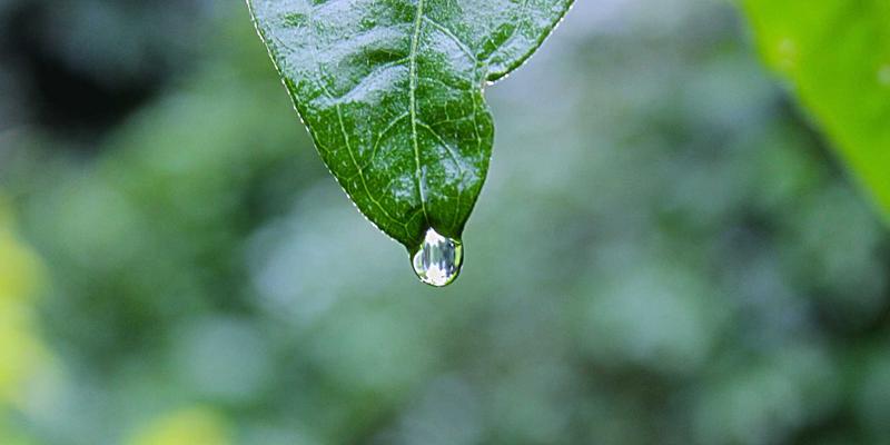 信息安全的基石：从数据保护到CCSIIA框架的全面网络安全策略