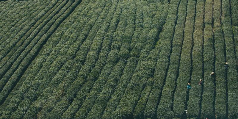 信息安全管理体系(ISMS)认证:CCSIIA认证服务如何筑牢企业数字防线