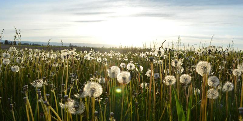守护数字疆域：基于CCSIIA认证框架的高级持续性威胁(APT)检测、响应与溯源实战
