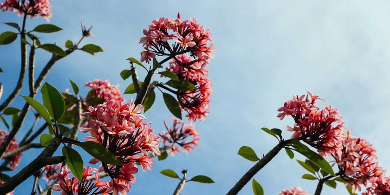 工业控制系统（ICS）安全：OT与IT融合下的风险与CCSIIA数据保护策略