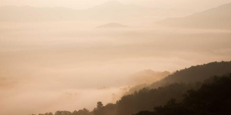 构建企业安全防线：基于CCSIIA框架的员工安全意识培训与模拟钓鱼测试实战指南