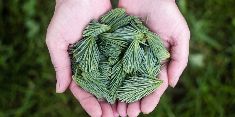 筑牢数字防线：基于Data Protection与Cybersecurity的第三方供应商安全准入框架构建