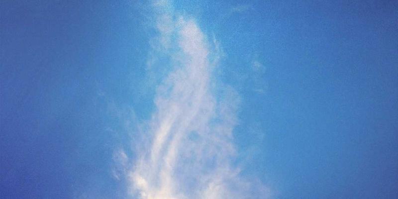 筑牢数字防线：开源组件漏洞管理与软件物料清单（SBOM）的网络安全实践指南