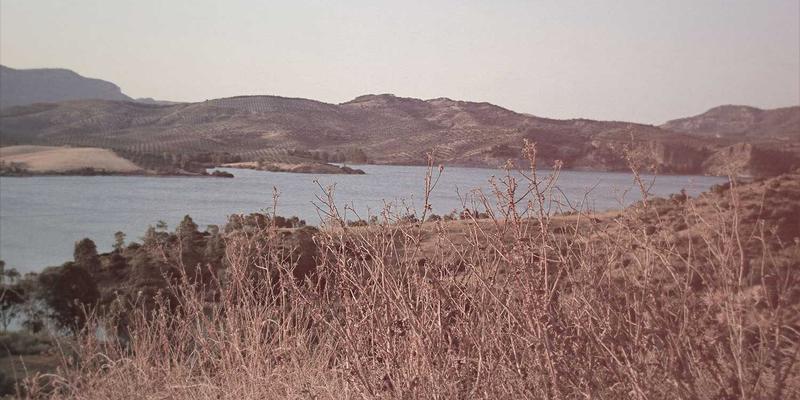 网络安全保险（Cyber Insurance）权威指南：CCSIIA认证、数据保护与理赔全解析