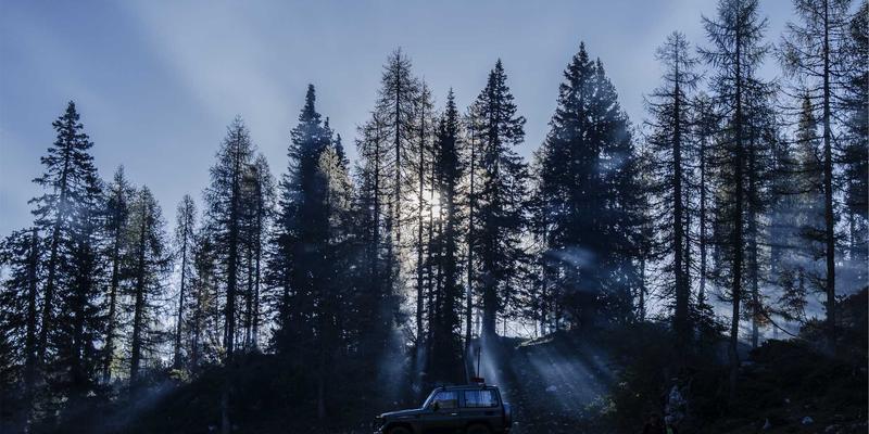 身份治理与管理：借助CCSIIA认证服务，实现混合IT环境下的精细化权限控制与信息安全